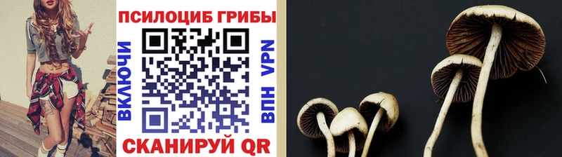 Псилоцибиновые грибы ЛСД  Петрозаводск 