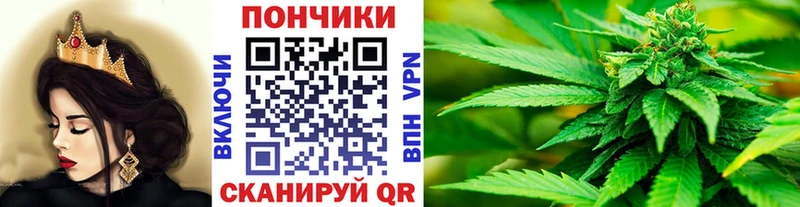 Бошки марихуана конопля  Петрозаводск 